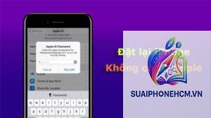 apple id không reset được mật khẩu