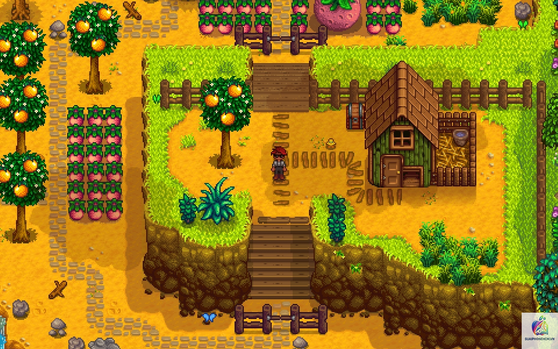 game iphone cấu hình thấp hay - Hình 4