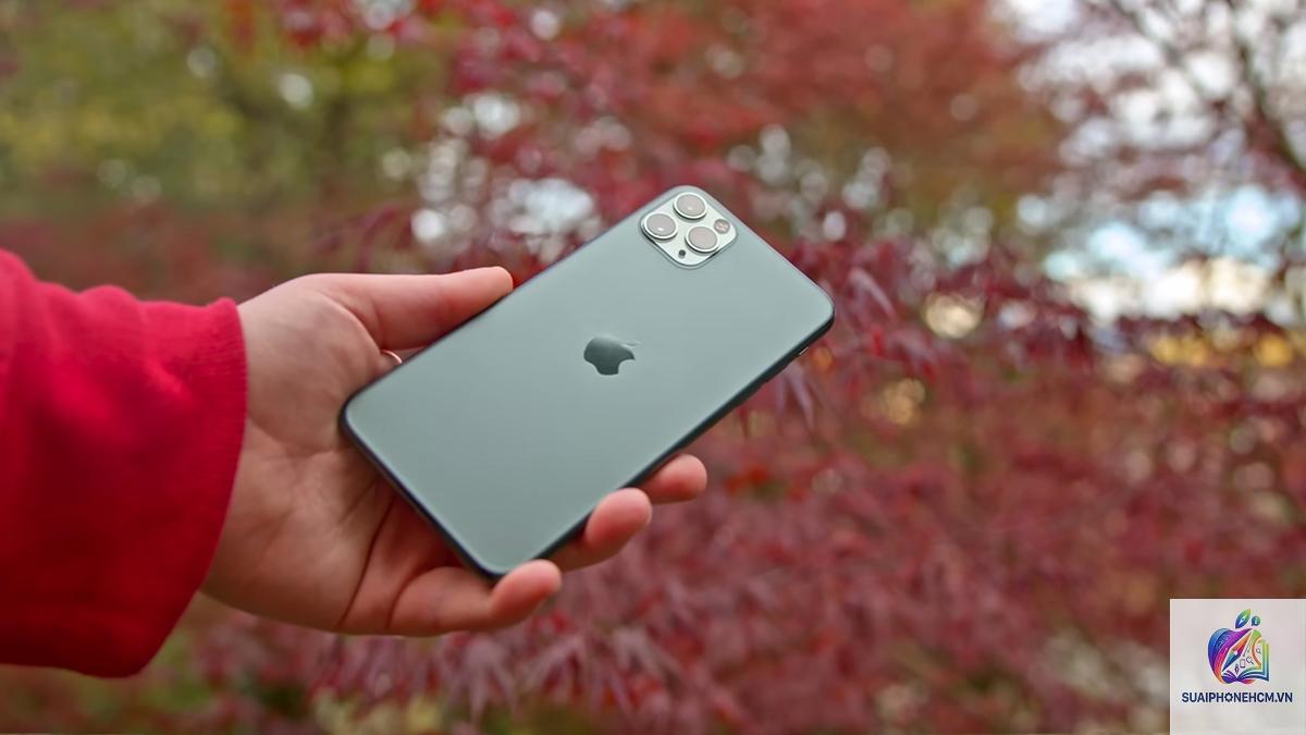 iPhone 11 Pro Max camera có tốt không 2026 - Hình 2