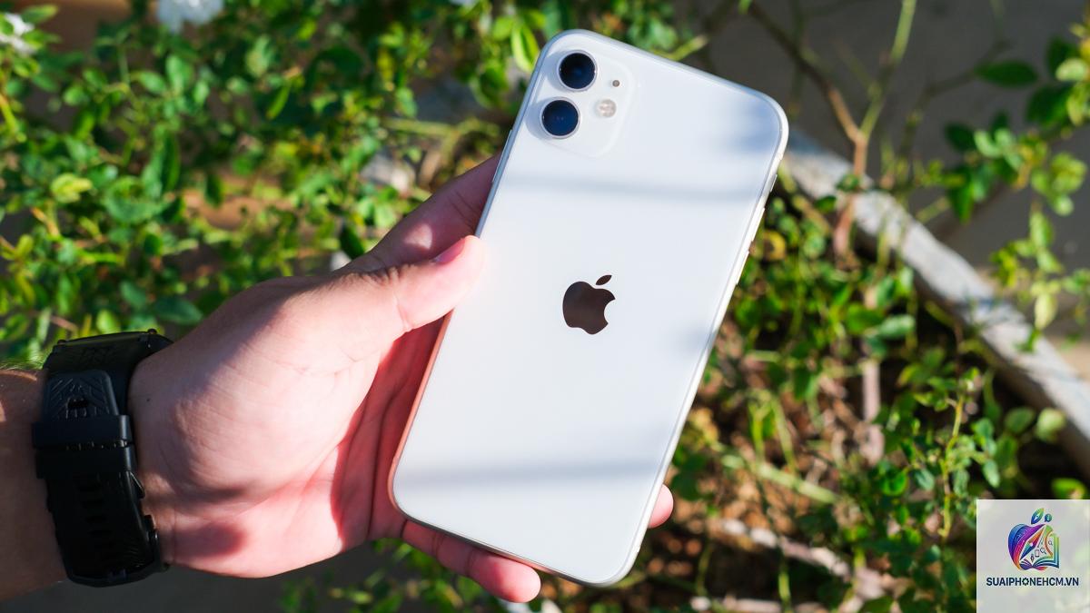 iPhone 11 có nên mua 2026 - Hình 2