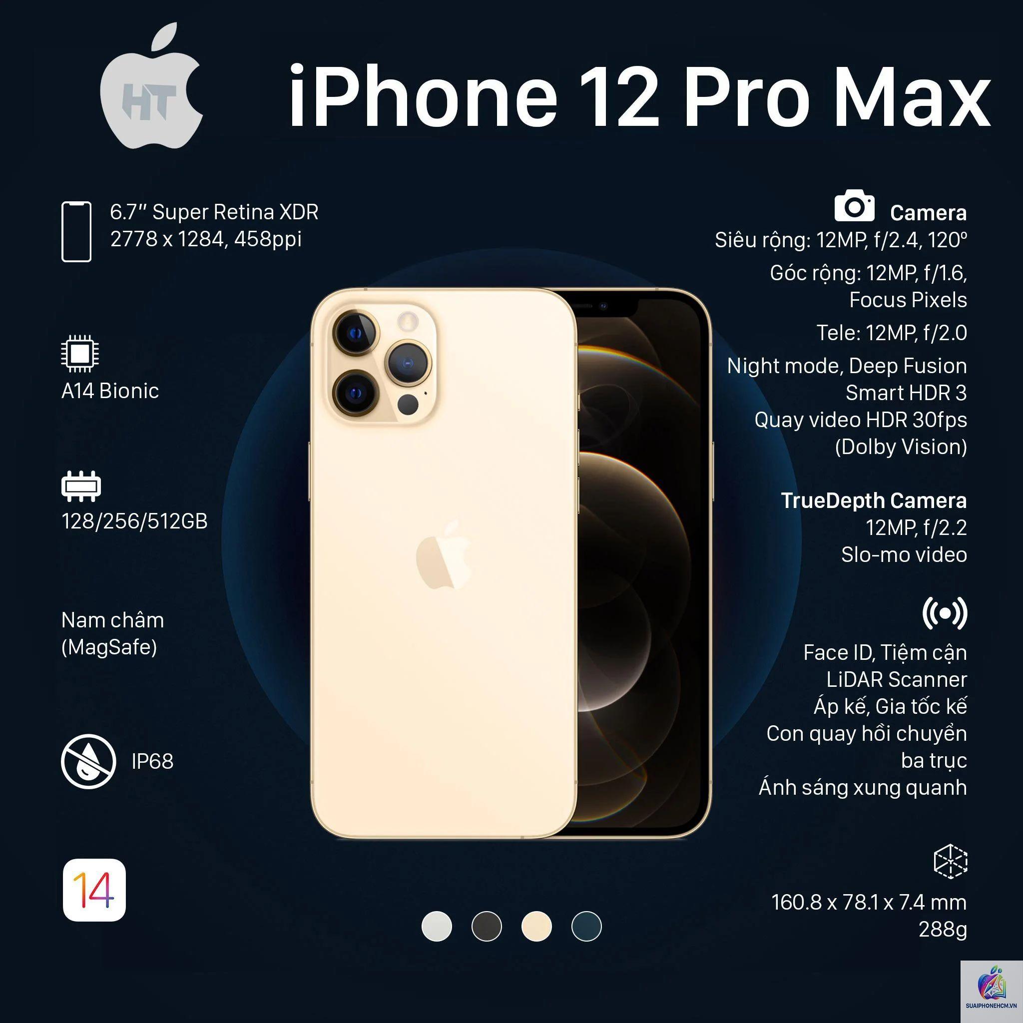 iPhone 12 camera có tốt không - Hình 4