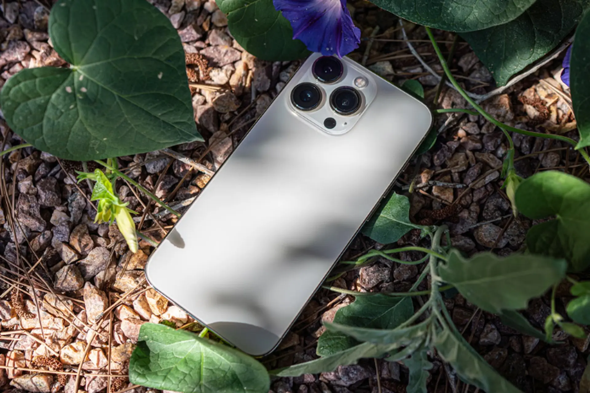 iPhone 13 có còn đáng mua 2026 không - Hình 4