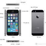 iPhone 5S có Face ID không