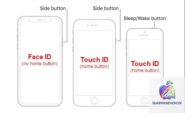 iPhone 5S có Face ID không - Hình 5