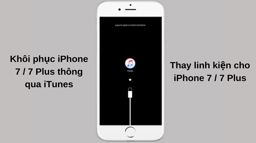iPhone 7 bị lỗi không lên nguồn - Hình 5