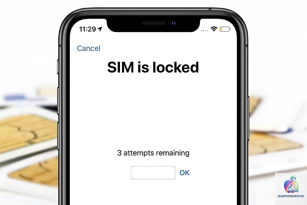 iPhone SIM bị khóa - Hình 5