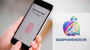iPhone Touch ID bị mất sau sửa chữa