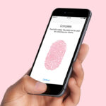 iPhone Touch ID không xác thực thanh toán: Nguyên nhân và cách khắc phục triệt để iPhone Touch ID không xác thực thanh toán