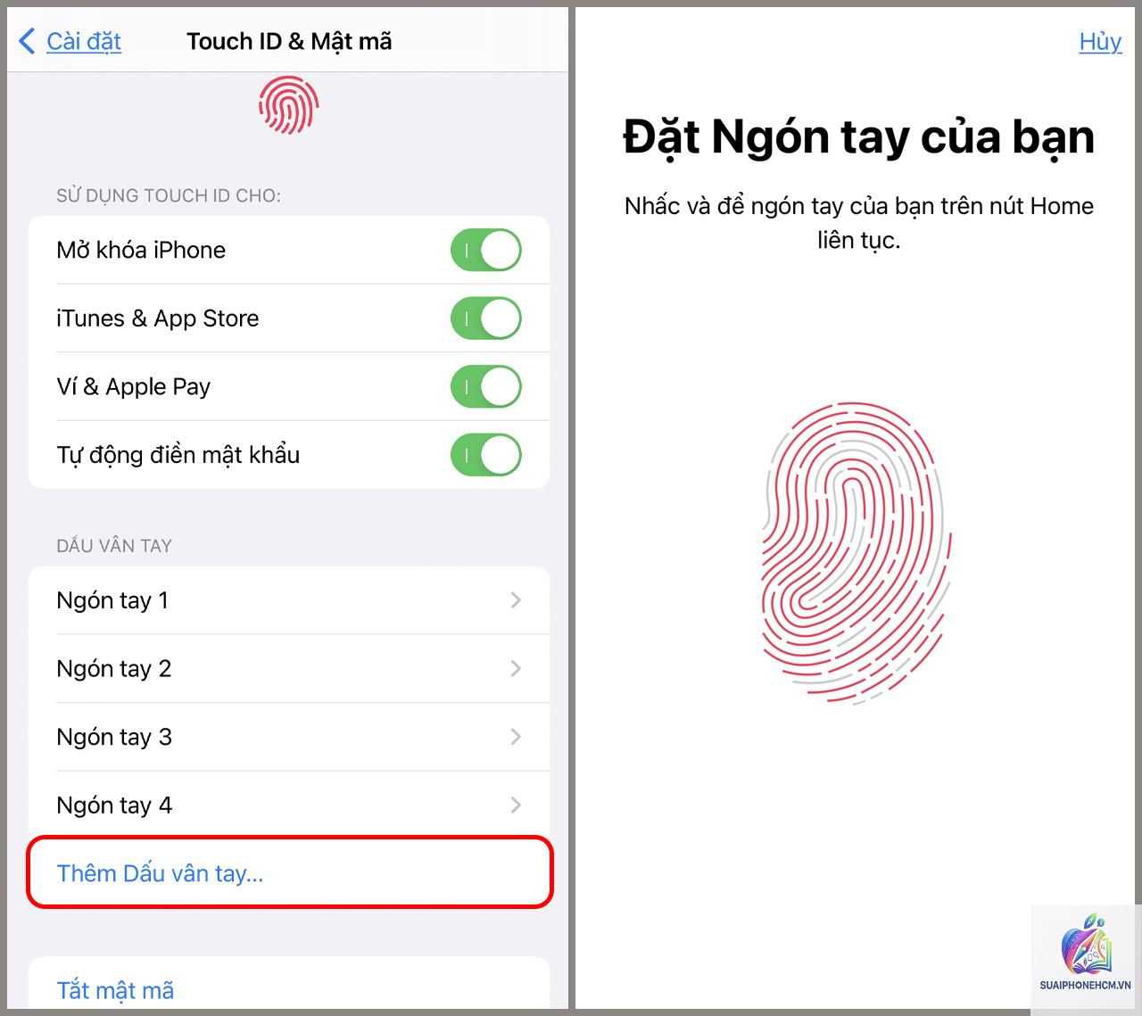 iPhone Touch ID không xác thực thanh toán - Hình 3