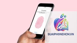 iPhone Touch ID không xác thực thanh toán