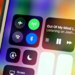 iPhone WiFi bị xám màu
