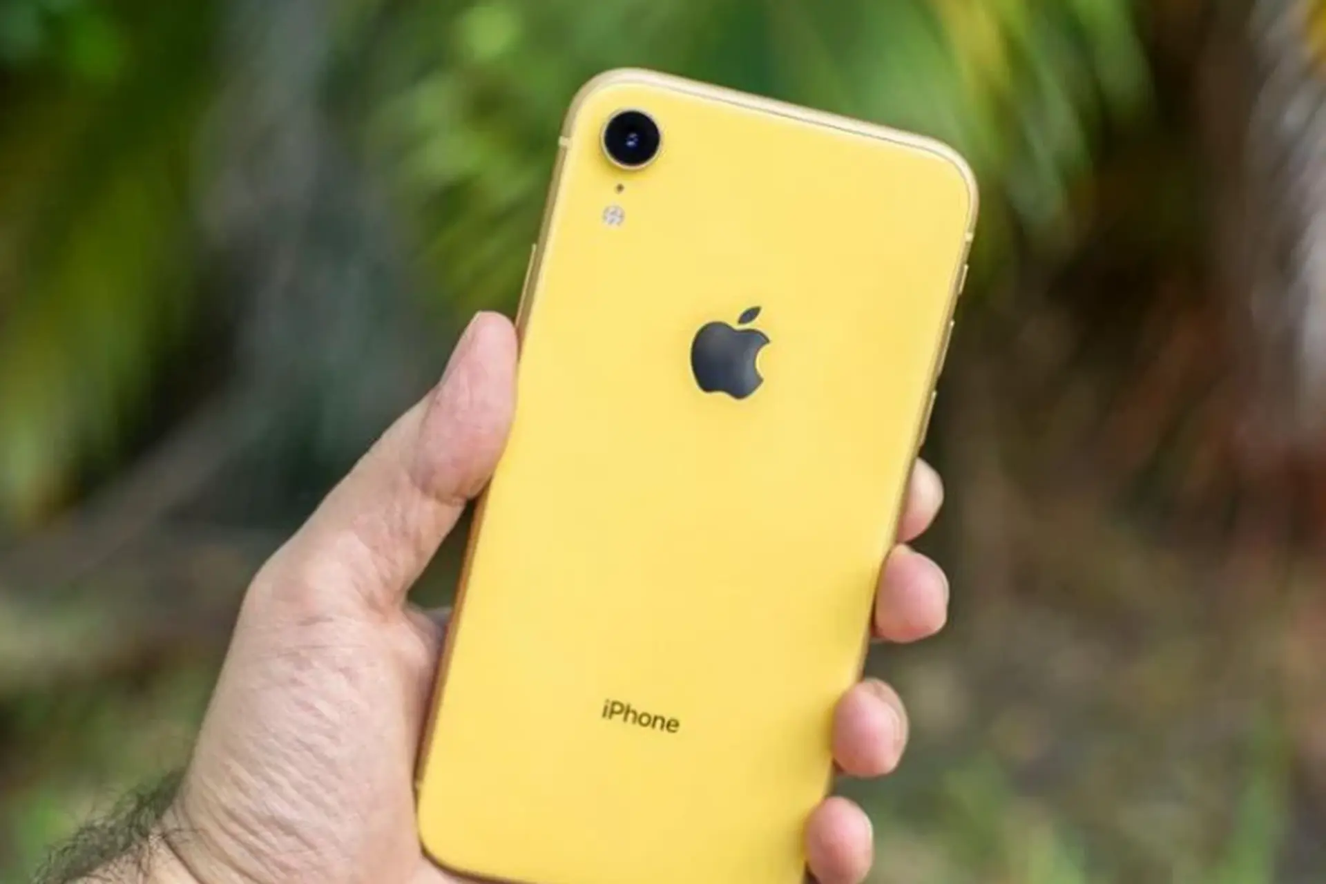 iPhone XR có nên mua 2026 - Hình 1