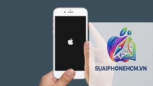 iPhone bị đơ phải làm sao