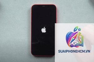 iPhone bị đứng logo