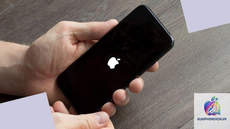 iPhone bị đứng logo Apple - Hình 5