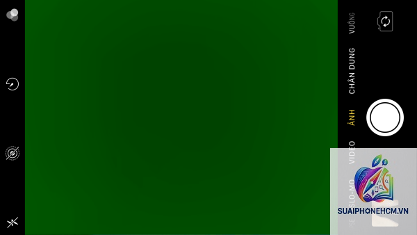 iPhone camera bị ám xanh