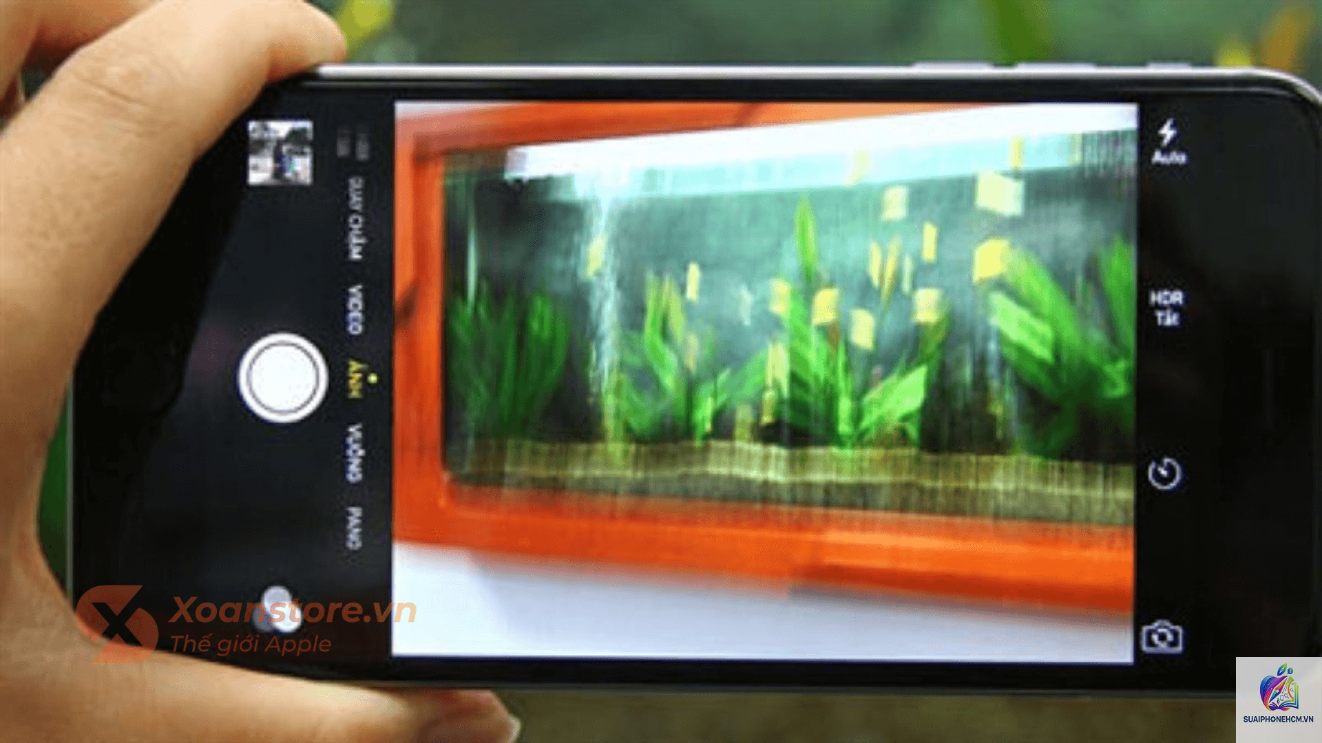 iPhone camera bị mờ góc ảnh - Hình 5