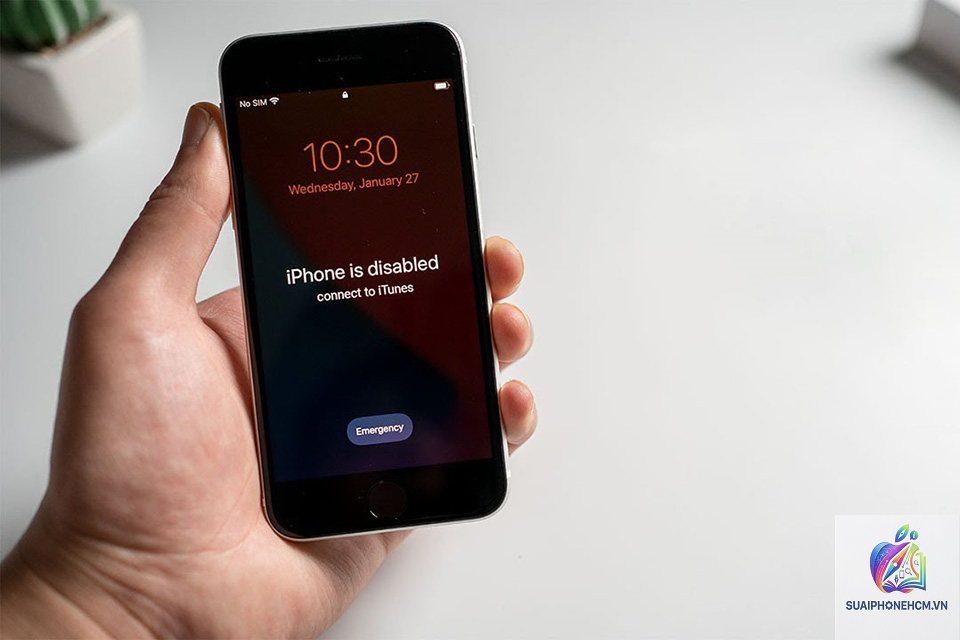 iPhone iTunes bị ngắt kết nối