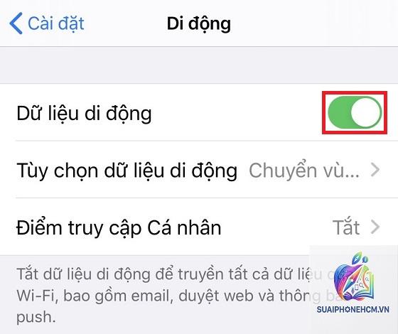 iPhone không bật được dữ liệu di động - Hình 3