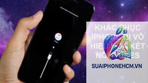 iPhone không kết nối iTunes