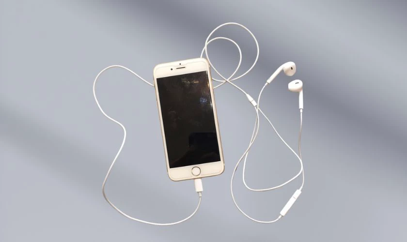 iPhone không nhận kết nối qua cổng Lightning - Hình 3
