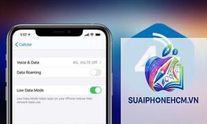 iPhone không vào được mạng