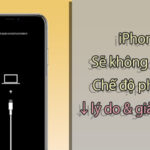 iPhone không vào recovery mode? Nguyên nhân và cách khắc phục triệt để iPhone không vào recovery mode