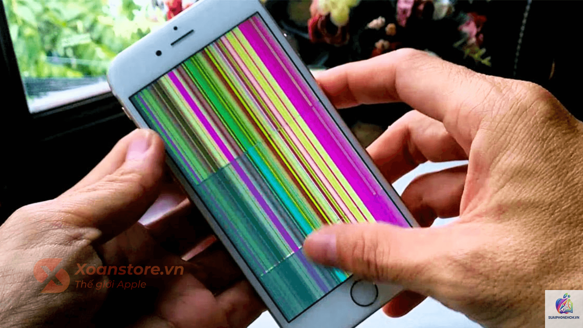 iPhone mạng chập chờn liên tục - Hình 1
