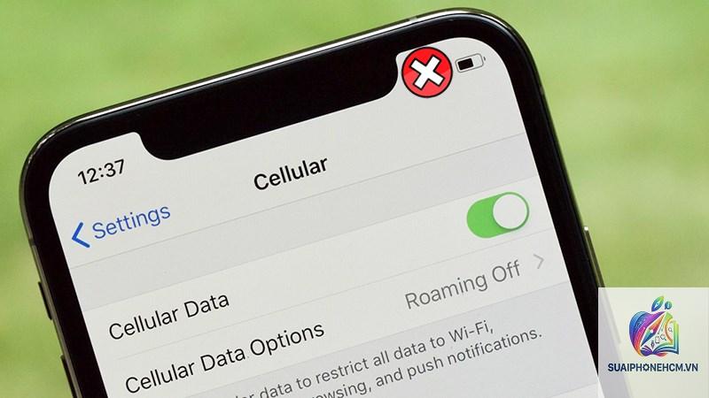 iPhone mất dữ liệu di động - Hình 3