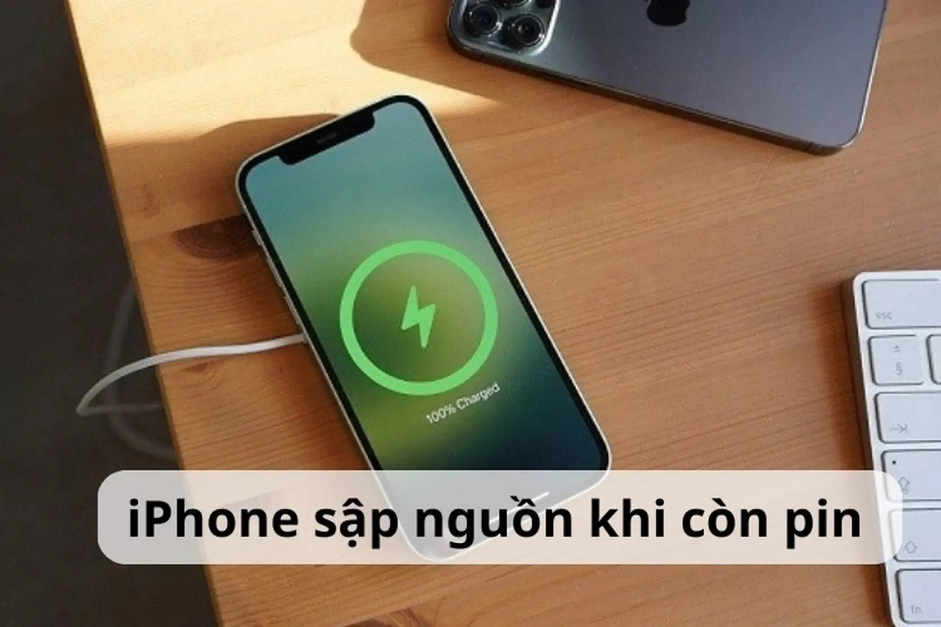 iPhone pin còn 20 tự tắt nguồn - Hình 2