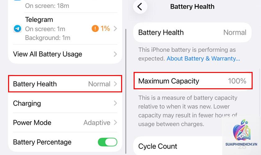iPhone pin từ 100 xuống 99 rất nhanh - Hình 3