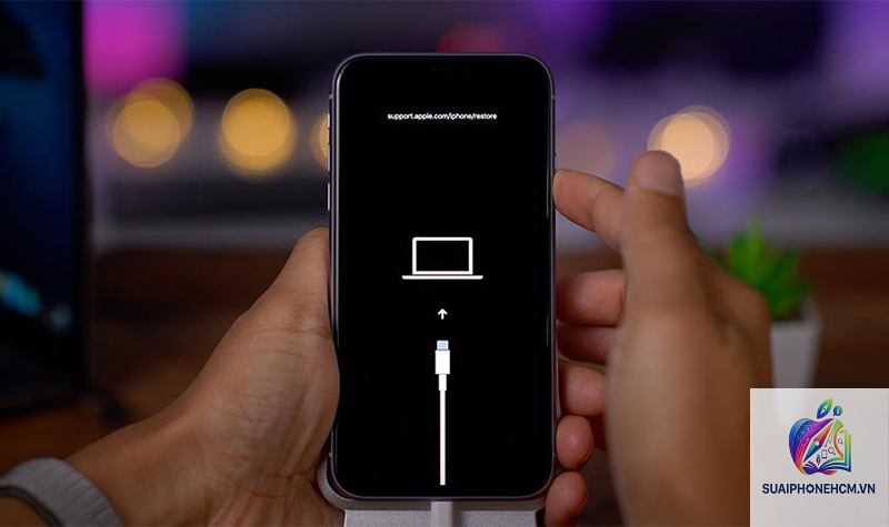 iPhone recovery mode bị đứng - Hình 2
