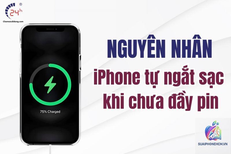 iPhone sạc bị ngắt liên tục - Hình 1