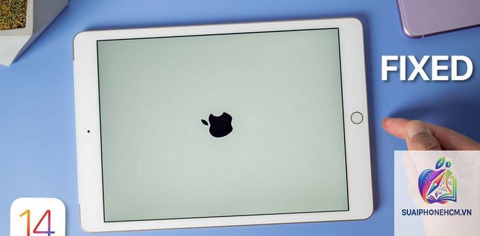ipad bị treo logo apple - Hình 3