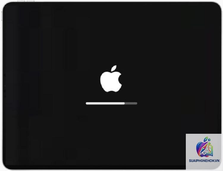 ipad bị treo logo apple