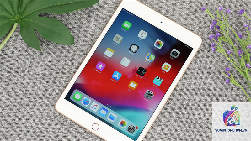 ipad cho học sinh - Hình 5