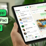 iPad Có Dùng WhatsApp Được Không? Hướng Dẫn Chi Tiết Từ Cài Đặt Đến Sử Dụng ipad có dùng whatsapp được không