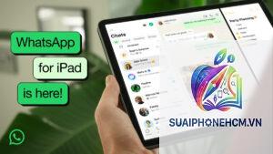 ipad có dùng whatsapp được không