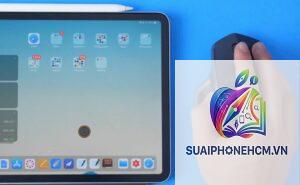 ipad có hỗ trợ chuột không