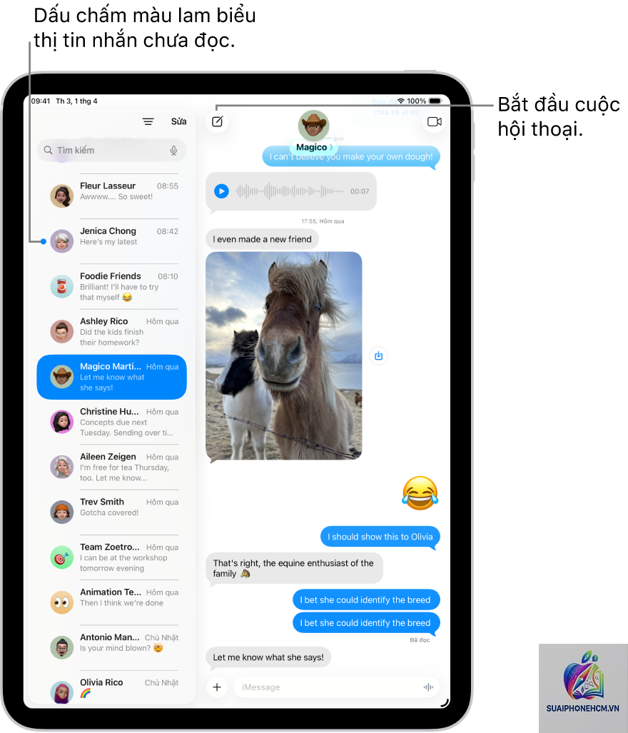 ipad có nhắn tin được không - Hình 4