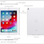 ipad mini 5 hay ipad mini 6