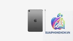 ipad mini cellular