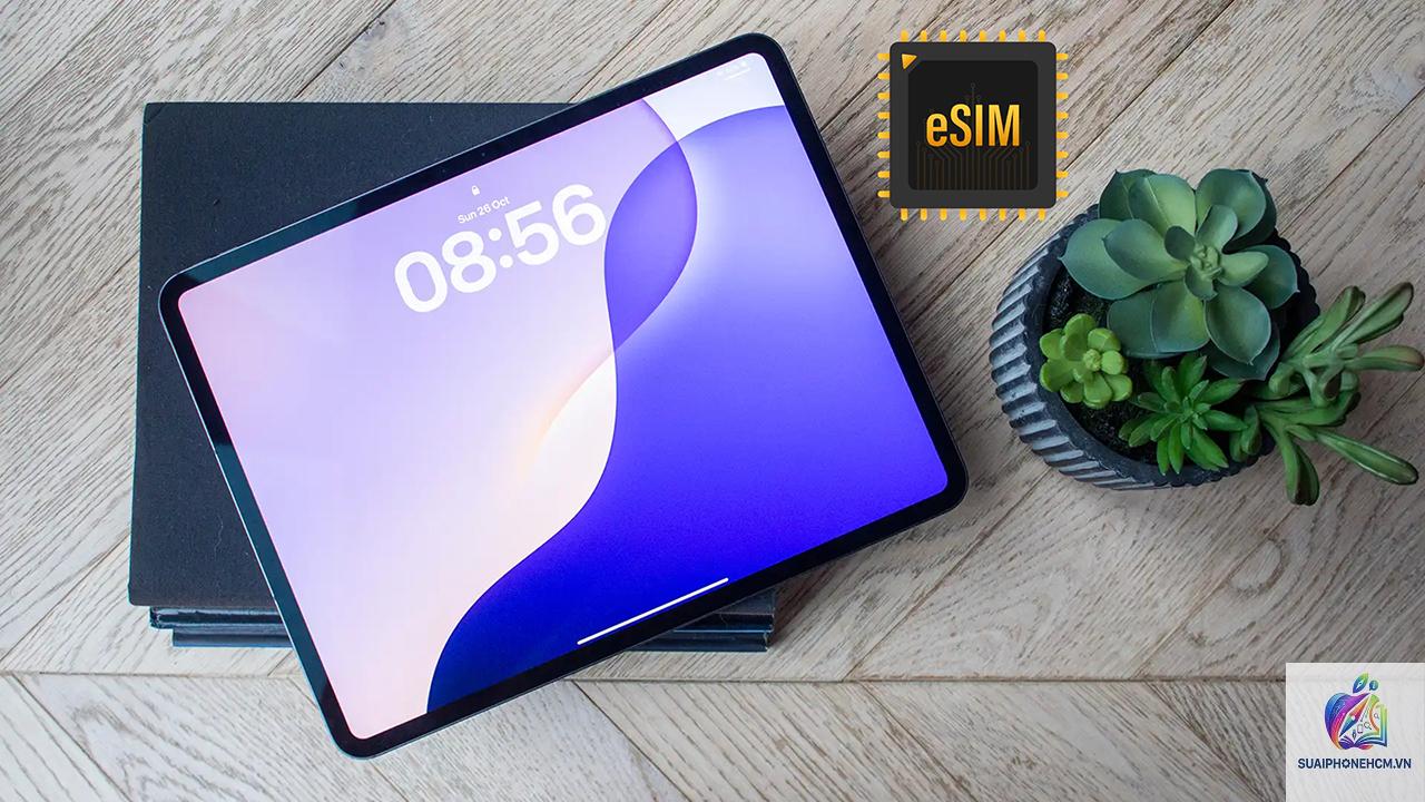 ipad nào có esim - Hình 4