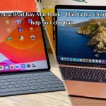 ipad nào đáng mua hơn macbook