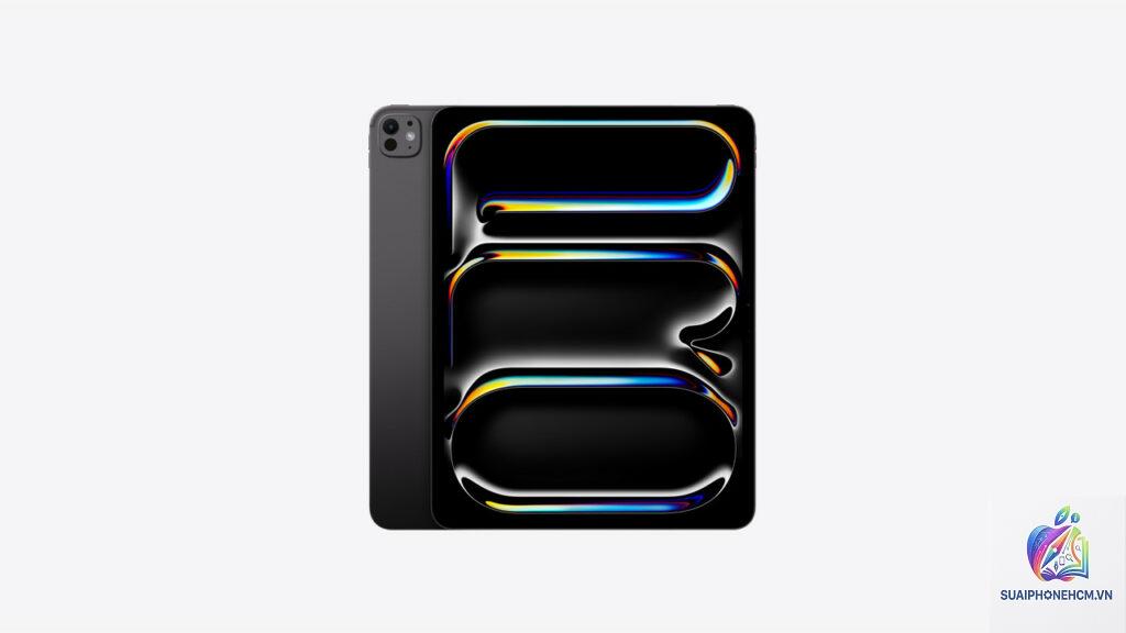 ipad pro 256gb