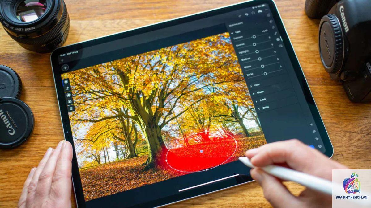 ipad pro chỉnh ảnh - Hình 5
