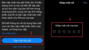 youtube không phát được âm thanh trên iphone