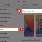 Cách cài hình nền video trên điện thoại cực dễ – Hướng dẫn chi tiết từ A đến Z cách cài hình nền video trên điện thoại